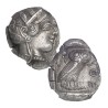 Athènes Tétradrachme de la Chouette